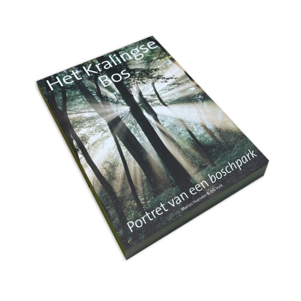 Het Kralingse Bos